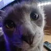 ciuffinh0