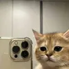 _trkien1