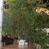 m.mahsum_kurtay47