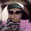 fehssouzza