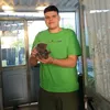francesco_disooo