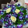 _____ekaterina______07