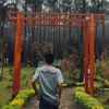 zei_sing07