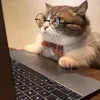 remote_lib