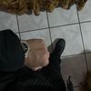 arg_906