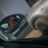clauxx5