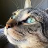 heather11118