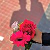 maya.chowdhury428