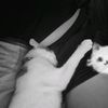 .lucybv