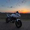 white.fz6
