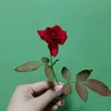 efreinna