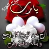 user8501765807830