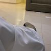 n_naa52