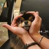 abi_mm_2104
