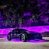 wickedteddyz