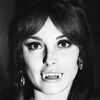 vamp.re