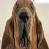 hi123342313423123