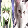 meimeixxmei