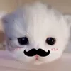mexiaohan_