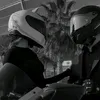 ahi_50