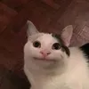 hinatagohan