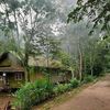 ilyasjaya405