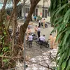 tranphuong240726