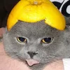 lemonskiiii