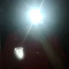 hanladz66