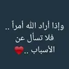 amira_ds02