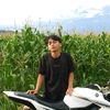 mfyy20