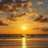 Trai dân biển 🏝️