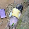 tuanhaii123456789101112