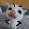 huhe123356