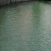 mariqpvs