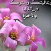 dy2f8ey3dqid