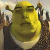 thiffudo