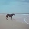arthur_gans