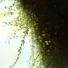 los_9090