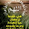 abdulhadisweilemalshara2