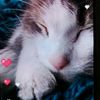 ilovedreamssky