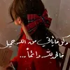 husseinaltaie245
