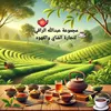 mn__we00