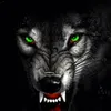 denis_547