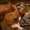 Haras de l’érable
