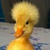 haji_muhamad_mamundi77