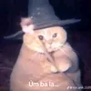 nsnauzk