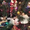 angie_crocheting.catmom