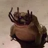 raclir