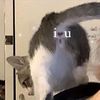 fuckl0vebr0